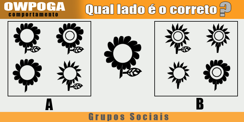 Hoje você pertence à vários grupos, mas sabe realmente quais?